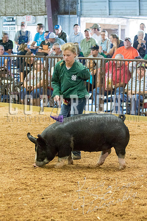 MAYES_COUNTY_FAIR_SWINE_©KTROYER-9415