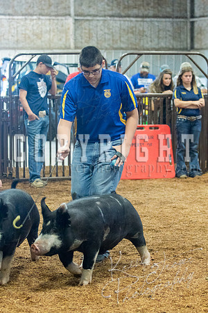 MAYES_COUNTY_FAIR_SWINE_©KTROYER-9417