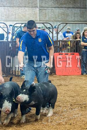 MAYES_COUNTY_FAIR_SWINE_©KTROYER-9418