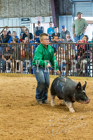 MAYES_COUNTY_FAIR_SWINE_©KTROYER-9419