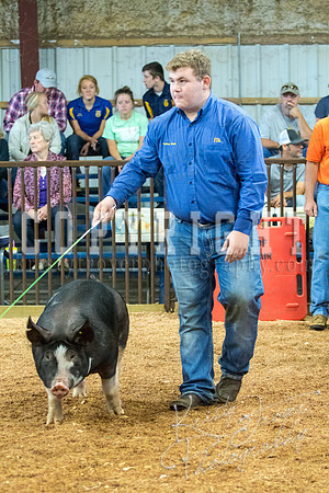 MAYES_COUNTY_FAIR_SWINE_©KTROYER-9420