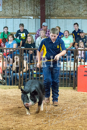 MAYES_COUNTY_FAIR_SWINE_©KTROYER-9421