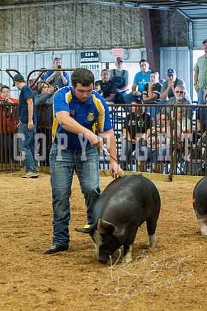 MAYES_COUNTY_FAIR_SWINE_©KTROYER-9422