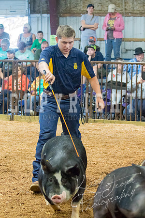 MAYES_COUNTY_FAIR_SWINE_©KTROYER-9426