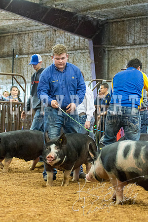 MAYES_COUNTY_FAIR_SWINE_©KTROYER-9427
