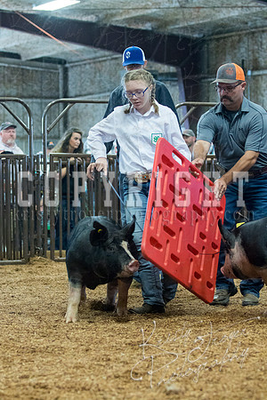MAYES_COUNTY_FAIR_SWINE_©KTROYER-9428