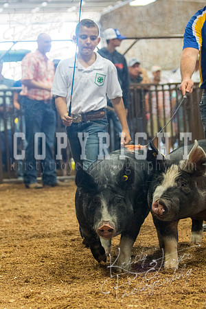 MAYES_COUNTY_FAIR_SWINE_©KTROYER-9429