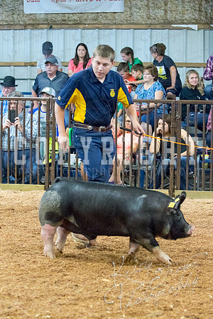 MAYES_COUNTY_FAIR_SWINE_©KTROYER-9430