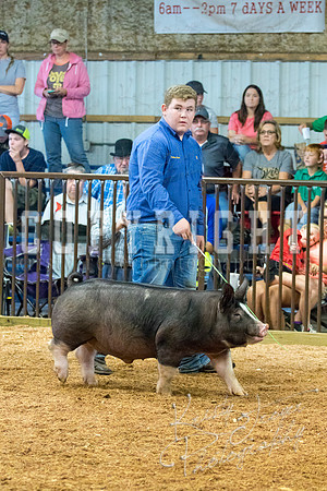 MAYES_COUNTY_FAIR_SWINE_©KTROYER-9431