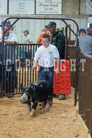 MAYES_COUNTY_FAIR_SWINE_©KTROYER-9432