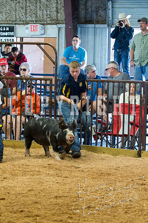 MAYES_COUNTY_FAIR_SWINE_©KTROYER-9433