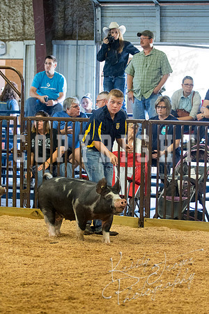 MAYES_COUNTY_FAIR_SWINE_©KTROYER-9434