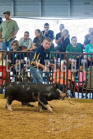 MAYES_COUNTY_FAIR_SWINE_©KTROYER-9435