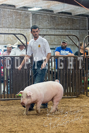 MAYES_COUNTY_FAIR_SWINE_©KTROYER-9440