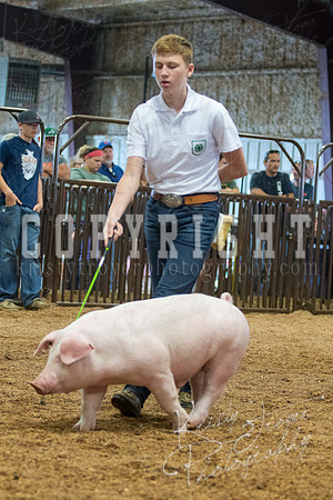 MAYES_COUNTY_FAIR_SWINE_©KTROYER-9441