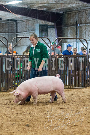 MAYES_COUNTY_FAIR_SWINE_©KTROYER-9444