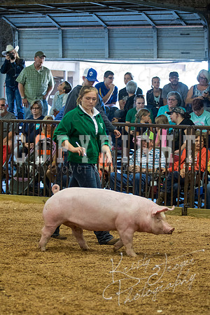 MAYES_COUNTY_FAIR_SWINE_©KTROYER-9446