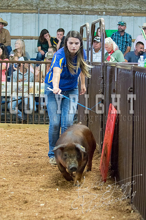 MAYES_COUNTY_FAIR_SWINE_©KTROYER-9480