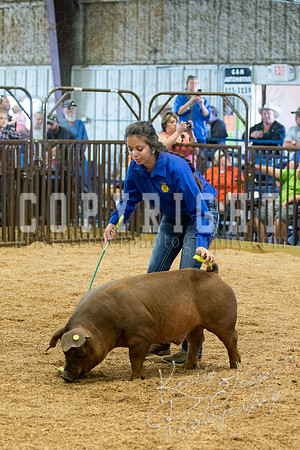 MAYES_COUNTY_FAIR_SWINE_©KTROYER-9481