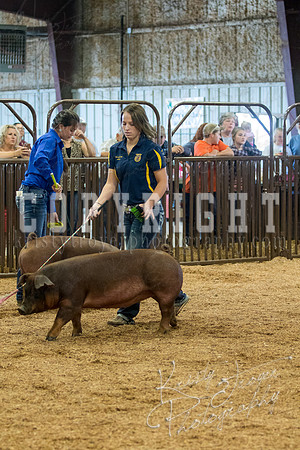 MAYES_COUNTY_FAIR_SWINE_©KTROYER-9482
