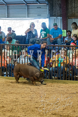 MAYES_COUNTY_FAIR_SWINE_©KTROYER-9484