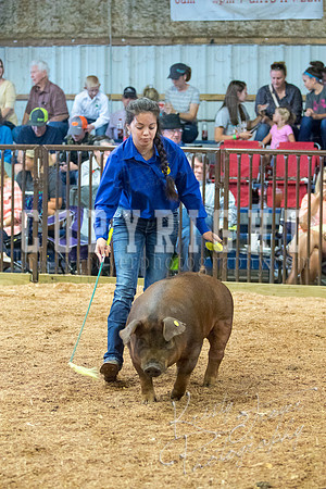 MAYES_COUNTY_FAIR_SWINE_©KTROYER-9485