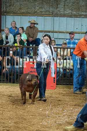 MAYES_COUNTY_FAIR_SWINE_©KTROYER-9486