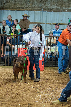 MAYES_COUNTY_FAIR_SWINE_©KTROYER-9487