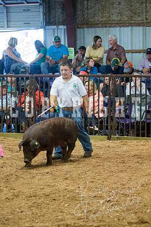 MAYES_COUNTY_FAIR_SWINE_©KTROYER-9488