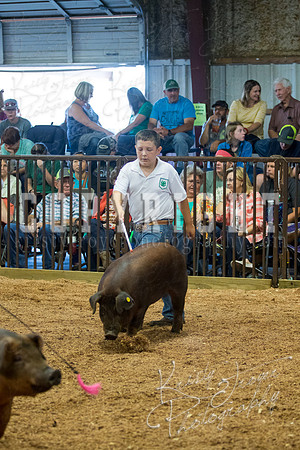 MAYES_COUNTY_FAIR_SWINE_©KTROYER-9489