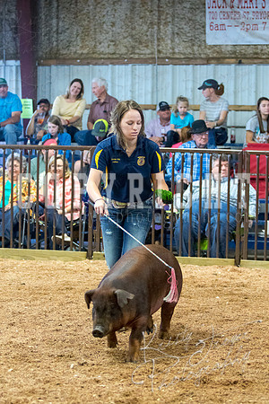 MAYES_COUNTY_FAIR_SWINE_©KTROYER-9490