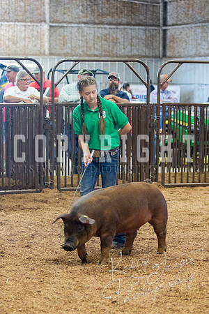 MAYES_COUNTY_FAIR_SWINE_©KTROYER-9491