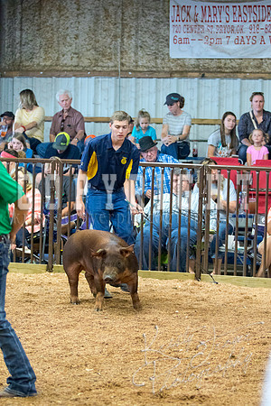 MAYES_COUNTY_FAIR_SWINE_©KTROYER-9492