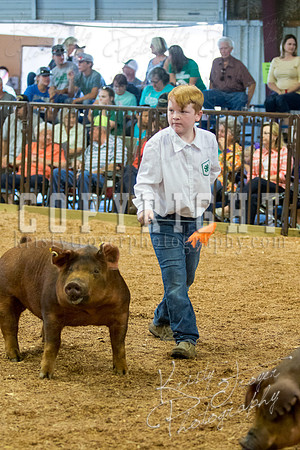 MAYES_COUNTY_FAIR_SWINE_©KTROYER-9493