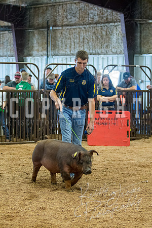 MAYES_COUNTY_FAIR_SWINE_©KTROYER-9494
