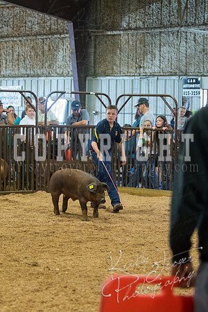 MAYES_COUNTY_FAIR_SWINE_©KTROYER-9495