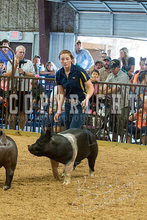 MAYES_COUNTY_FAIR_SWINE_©KTROYER-9577