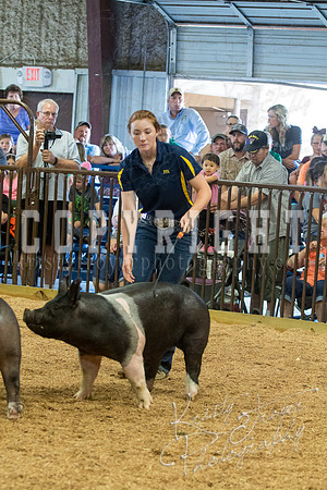 MAYES_COUNTY_FAIR_SWINE_©KTROYER-9578