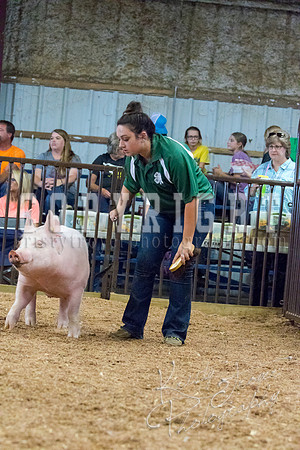 MAYES_COUNTY_FAIR_SWINE_©KTROYER-9654