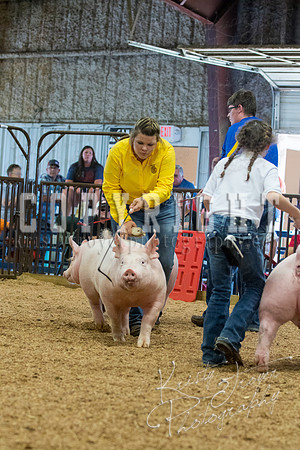 MAYES_COUNTY_FAIR_SWINE_©KTROYER-9655