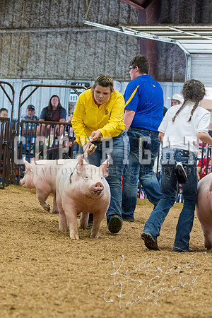 MAYES_COUNTY_FAIR_SWINE_©KTROYER-9656