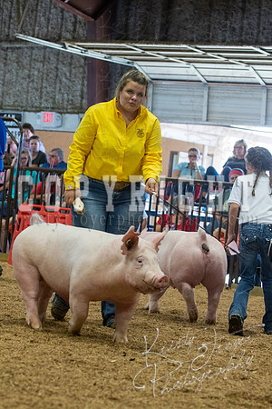 MAYES_COUNTY_FAIR_SWINE_©KTROYER-9657
