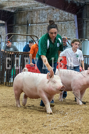 MAYES_COUNTY_FAIR_SWINE_©KTROYER-9658