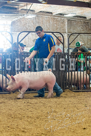MAYES_COUNTY_FAIR_SWINE_©KTROYER-9659