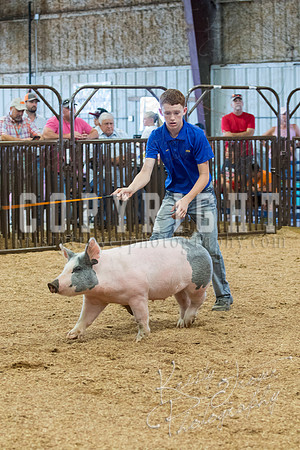 MAYES_COUNTY_FAIR_SWINE_©KTROYER-9665