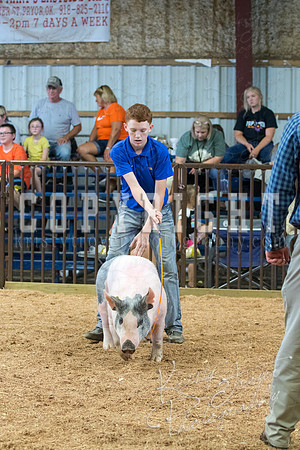 MAYES_COUNTY_FAIR_SWINE_©KTROYER-9668