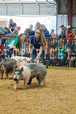 MAYES_COUNTY_FAIR_SWINE_©KTROYER-9669