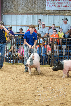 MAYES_COUNTY_FAIR_SWINE_©KTROYER-9671