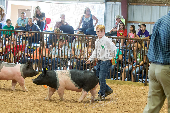 MAYES_COUNTY_FAIR_SWINE_©KTROYER-9672