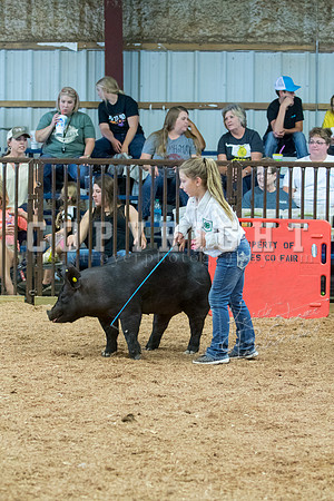 MAYES_COUNTY_FAIR_SWINE_©KTROYER-9673